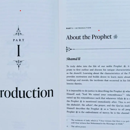 The Sirah of the Prophet (pbuh): A Contemporary and Original Analysis by Dr. Yasir Qadhi (PB) - Al-Huda Global Limited