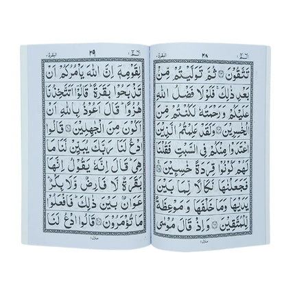 30 Para Quran Set (9 Lines- Large Font)- Ref. 100C- Qudratullah