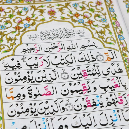 30 Para Set - Colour Coded Tajweed  Mushaf Quran (Paperback) (Qudratullah - 247) - Al-Huda Global Limited