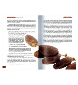 ISLAMIC MEDICINE : The key to a better life - Al-Huda Global Limited