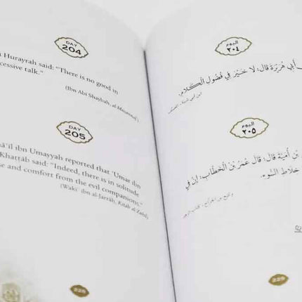 Daily Wisdom - 4 Books Bundle (Hardback)