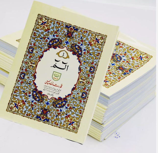 30 Para/Juz Set - Large Font 9 Lines Mushaf Quran - (Paperback)