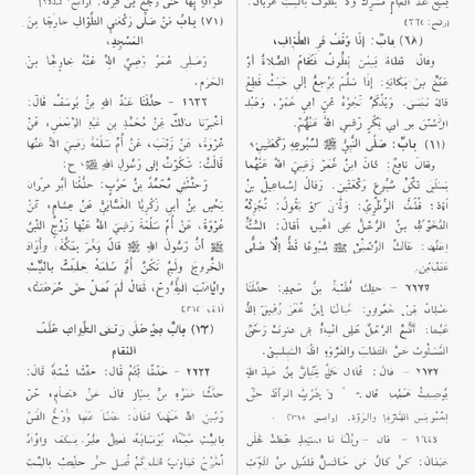 Summarized Sahih Al-Bukhari- ARABIC