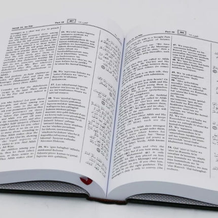 The Noble Quran Arabic with English Translation & Transliteration in Roman Script-  (17x24cm)- Darussalam