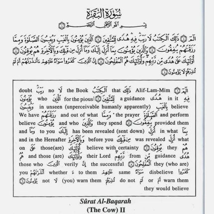 Study the Noble Quran Word-for-Word : 3 Volume Set
