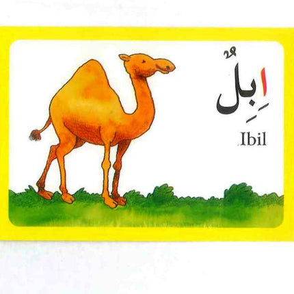 Arabic Alphabet Flash Cards- Children- Goodword - Al-Huda Global Limited