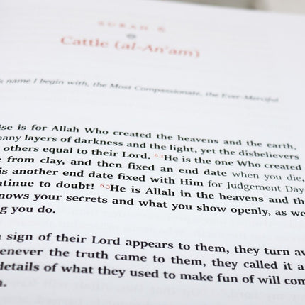 The Easy Quran: A Translation in Simple English by Tahir Mahmood Kiani- Hardback