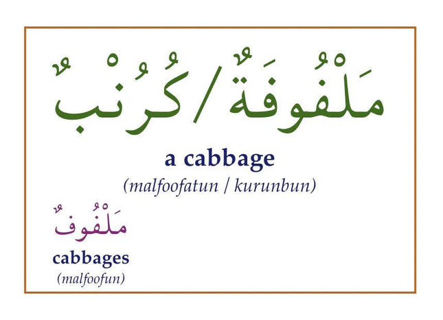 Gateway To Arabic Flashcards Set Three (3)- (Fruit and Vegetable Vocabulary)