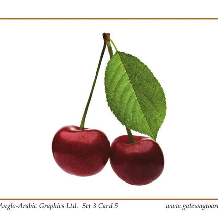 Gateway To Arabic Flashcards Set Three (3)- (Fruit and Vegetable Vocabulary)
