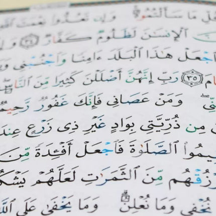 Tajweed Quran Coded Quran in Arabic HAFS Flexible Softcover- Medium (14x 20cm)