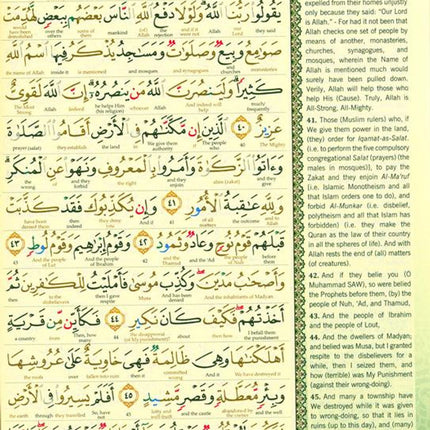 Maqdis Quran A4 Large Word-by-Word Translation Tajweed Colour Coded Lime Green