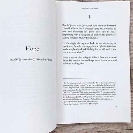 Timeless Seeds of Advice by B.B Abdulla