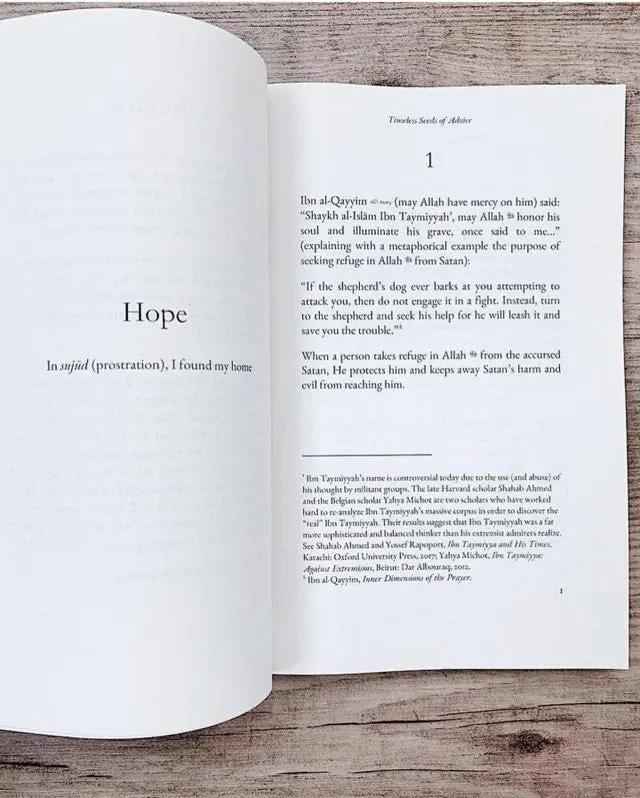 Timeless Seeds of Advice by B.B Abdulla