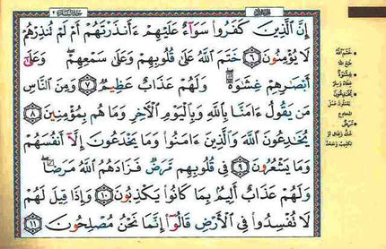 Tajweed Quran in 30 Parts Leather Case- Pocket Plus (8x12cm)