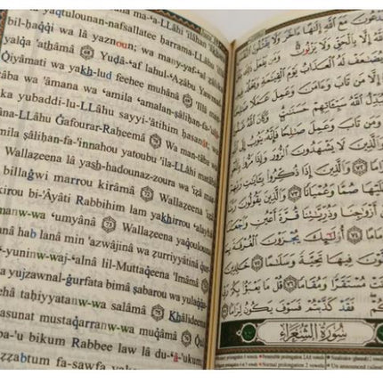 Tajweed Quran with Translation in English and Transliteration