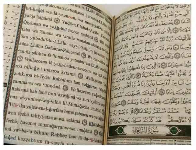 Tajweed Quran with Translation in English and Transliteration